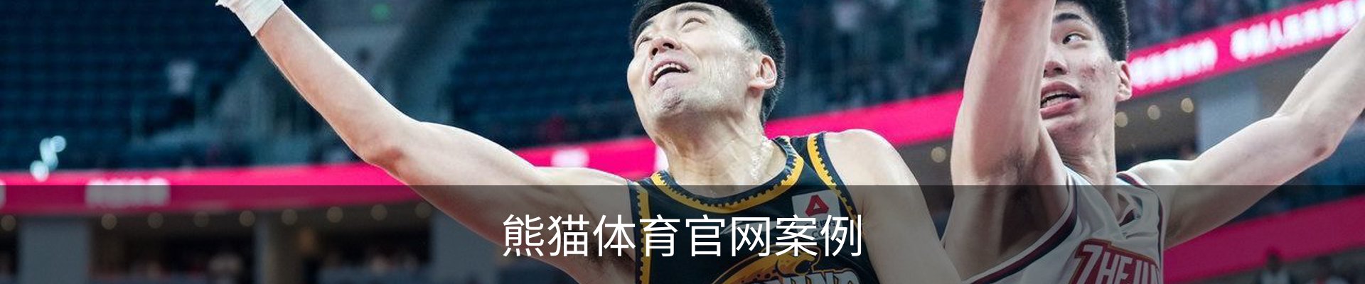 熊猫体育官网案例